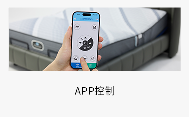 APP控制